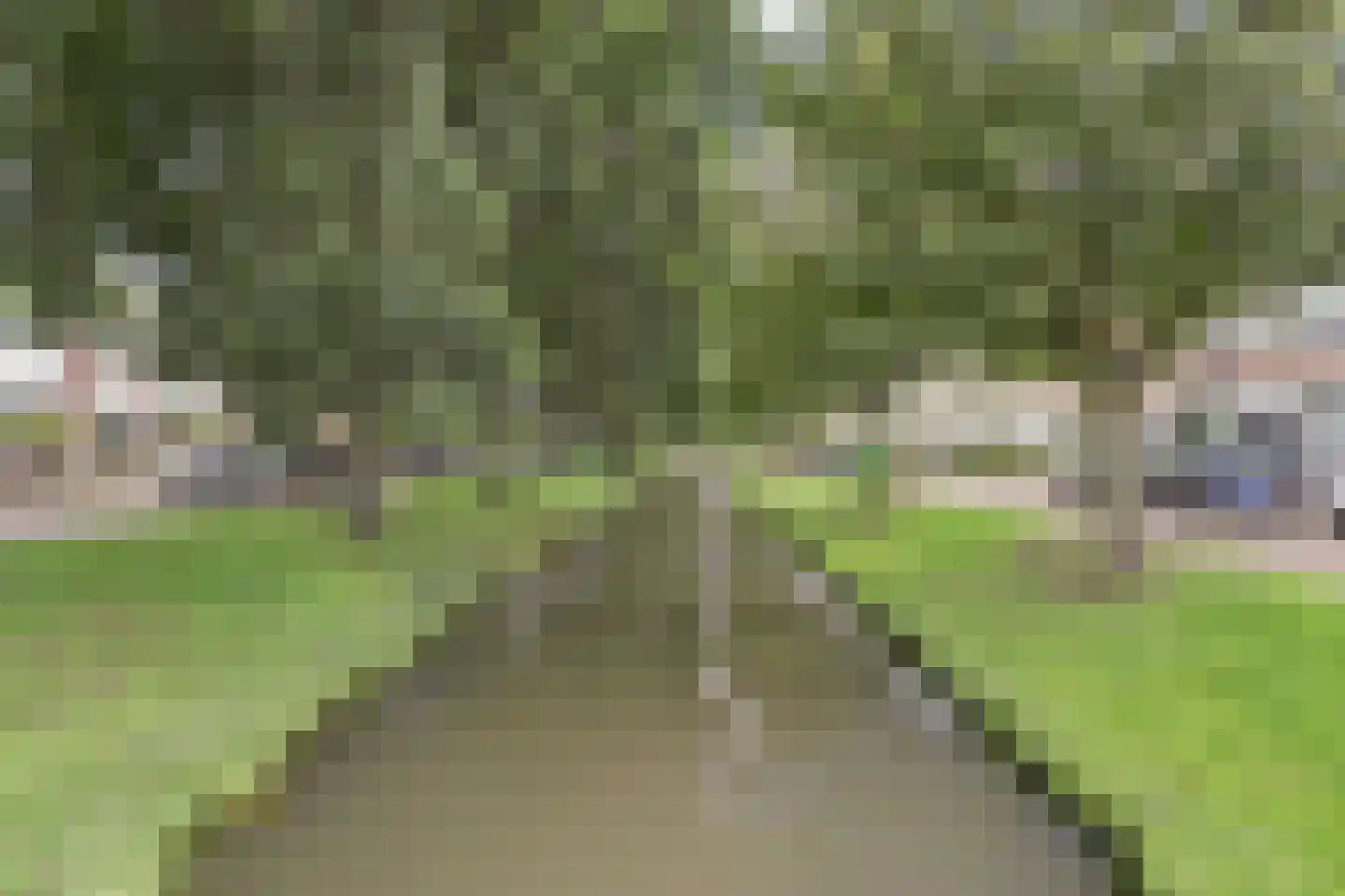 Mecklenburgstraat 63 Ridderkerk thumbnail 6