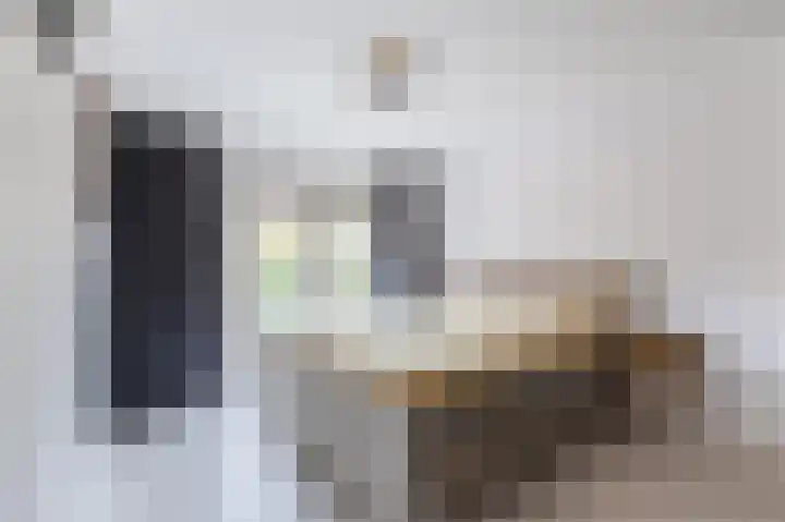 Mecklenburgstraat 8 Breukelen thumbnail 7