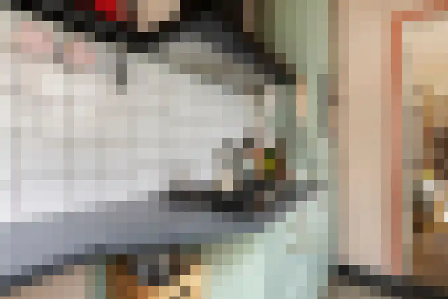 Mecklenburgstraat 82 Eindhoven thumbnail 12