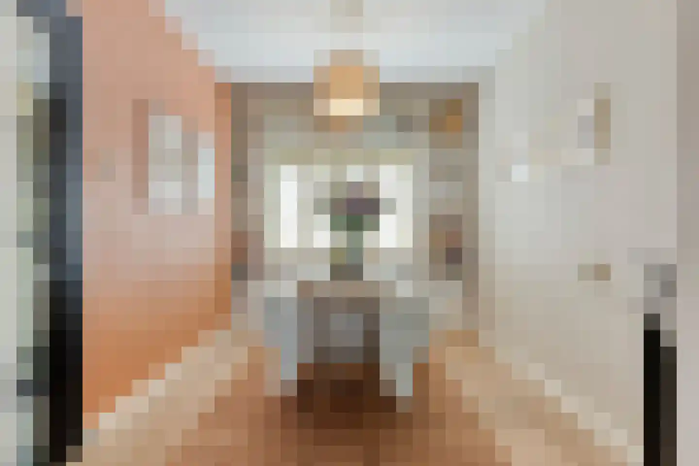 Mecklenburgstraat 82 Eindhoven thumbnail 15