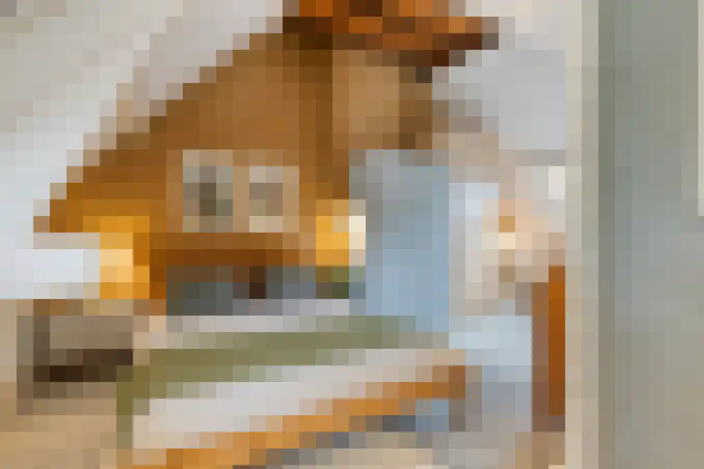 Mecklenburgstraat 82 Eindhoven thumbnail 28