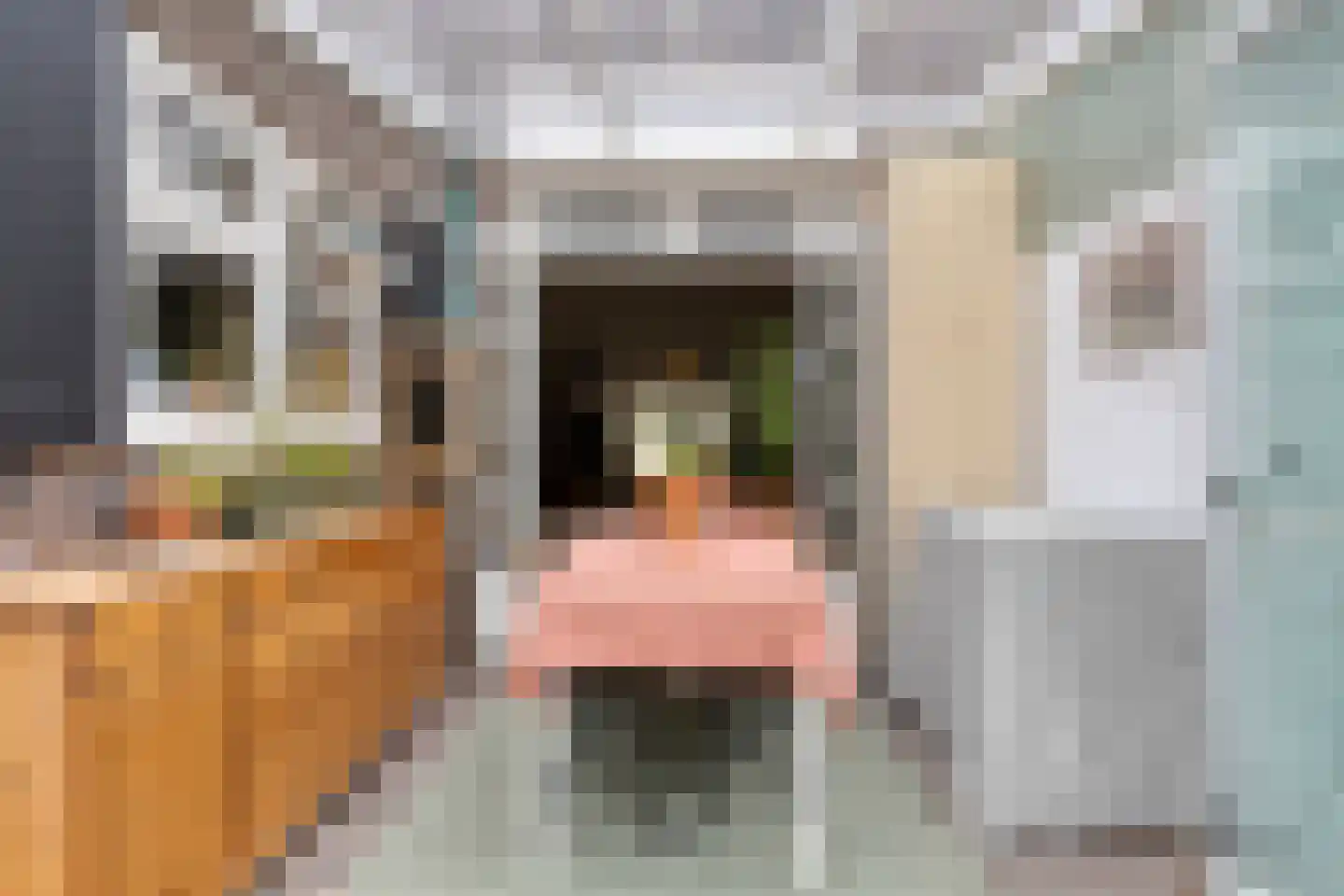 Mecklenburgstraat 82 Eindhoven thumbnail 32
