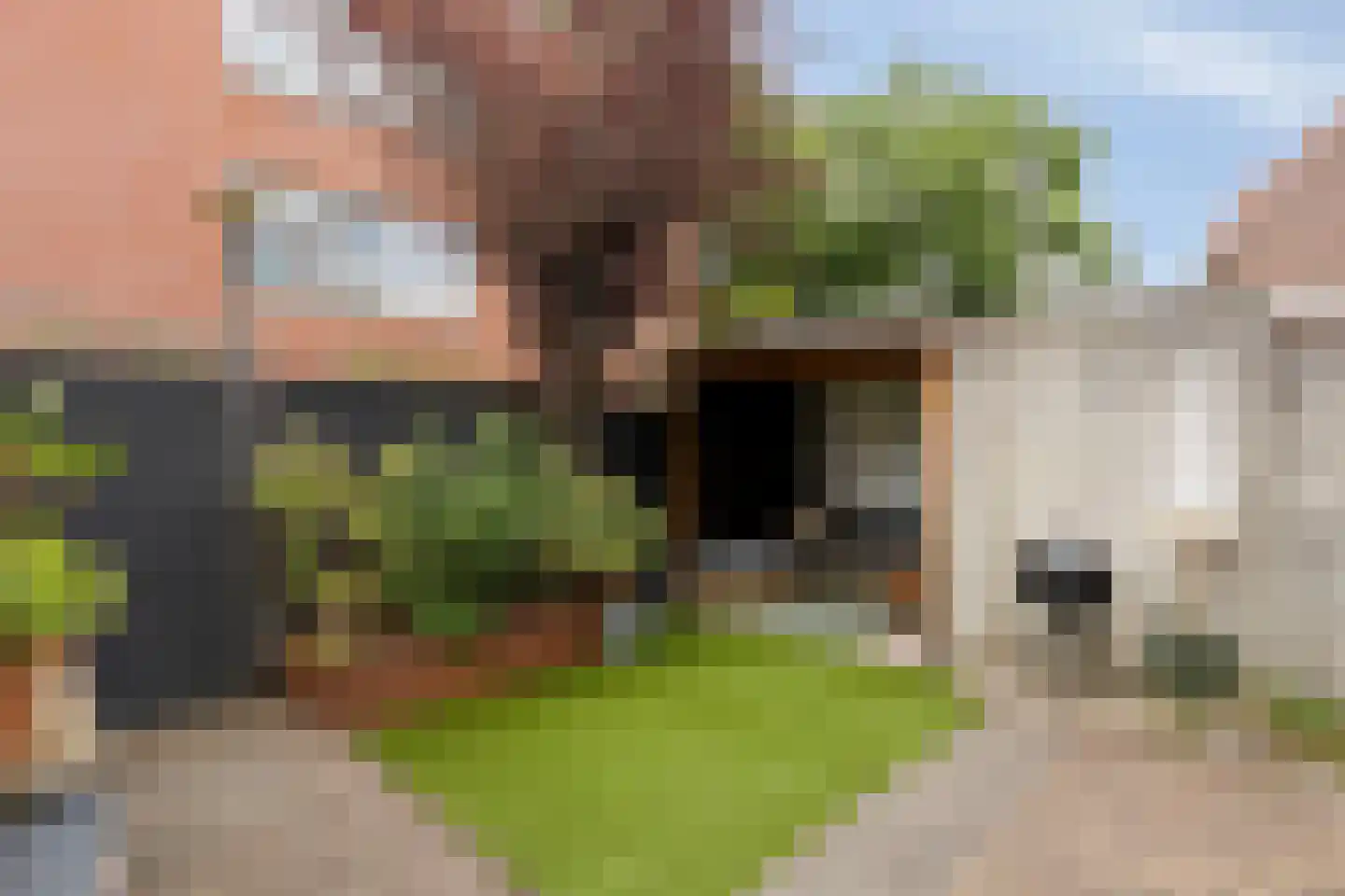 Mecklenburgstraat 82 Eindhoven thumbnail 33