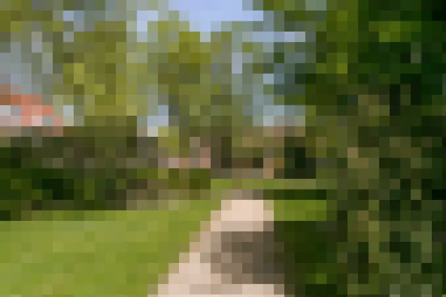 Mecklenburgstraat 82 Eindhoven thumbnail 40