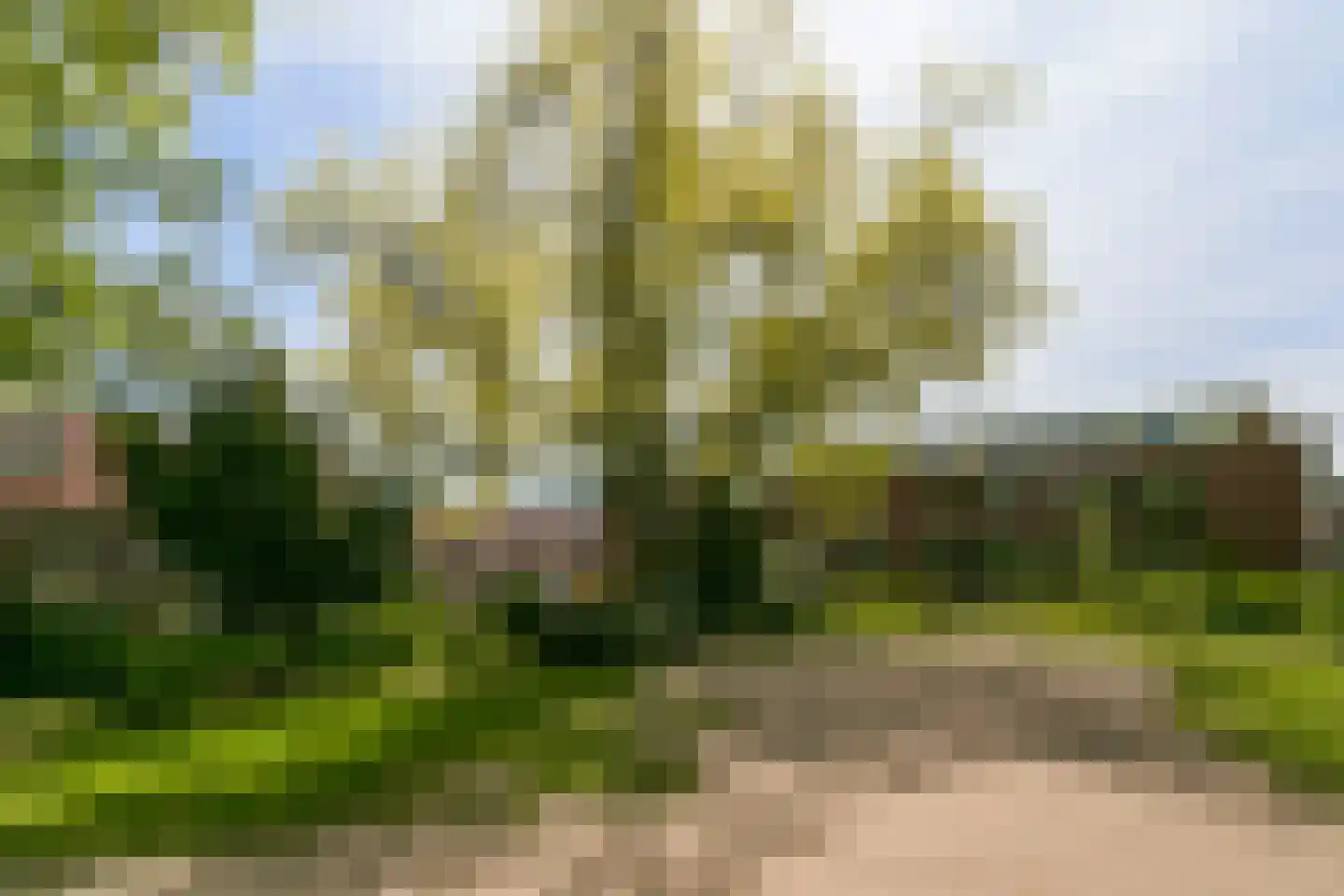 Mecklenburgstraat 82 Eindhoven thumbnail 41