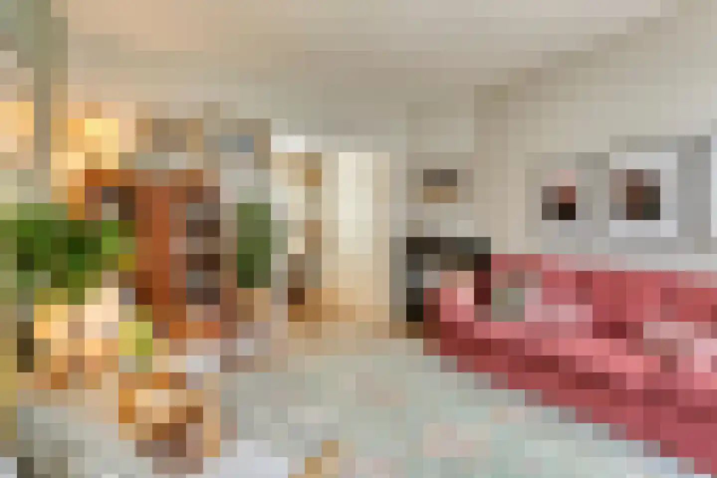 Mecklenburgstraat 82 Eindhoven thumbnail 8