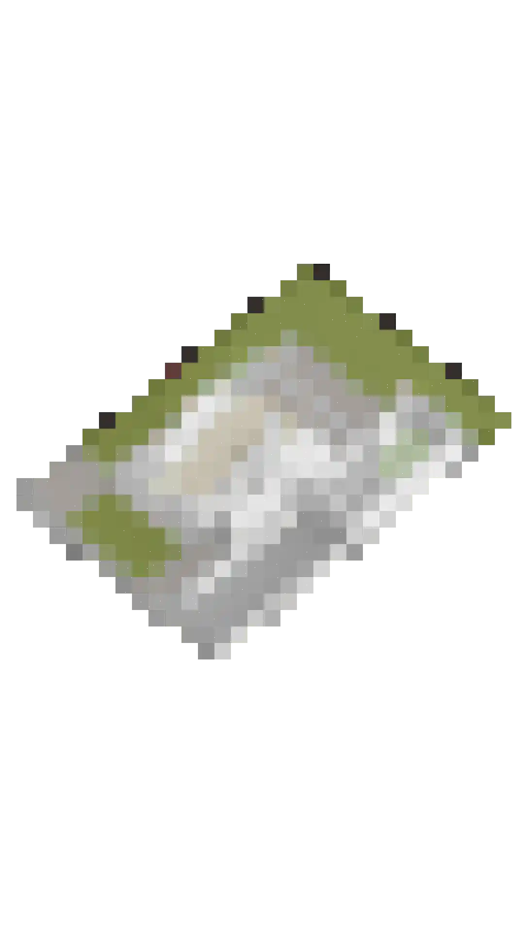 Medaille 15 Oss thumbnail 42