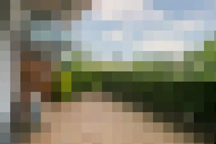 Medaillon 8 Tegelen thumbnail 18