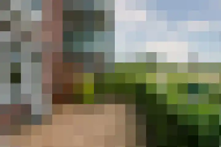 Medaillon 8 Tegelen thumbnail 19
