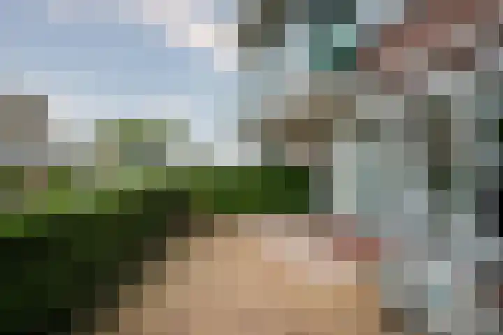 Medaillon 8 Tegelen thumbnail 20