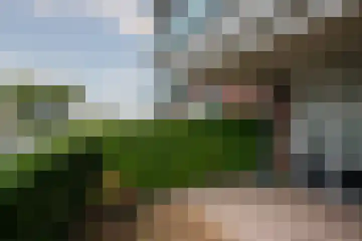 Medaillon 8 Tegelen thumbnail 21