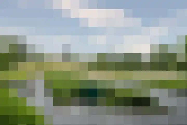 Medaillon 8 Tegelen thumbnail 4