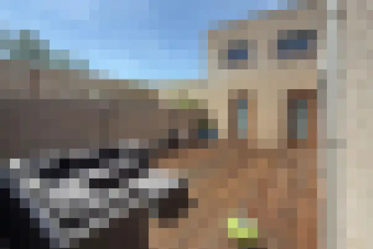Medaillonstraat 1 Almere thumbnail 28
