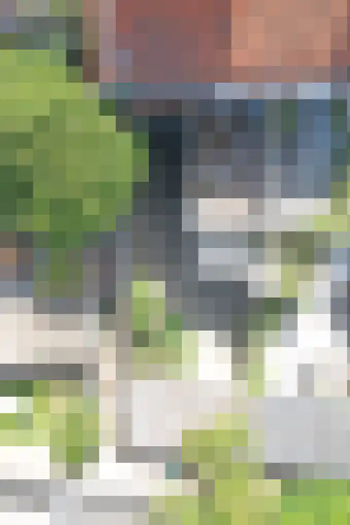 Medanstraat 3 Utrecht thumbnail 23