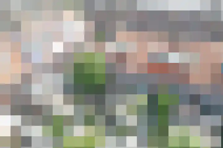 Medanstraat 3 Utrecht thumbnail 25