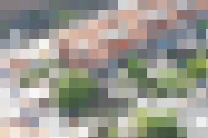 Medanstraat 3 Utrecht thumbnail 26
