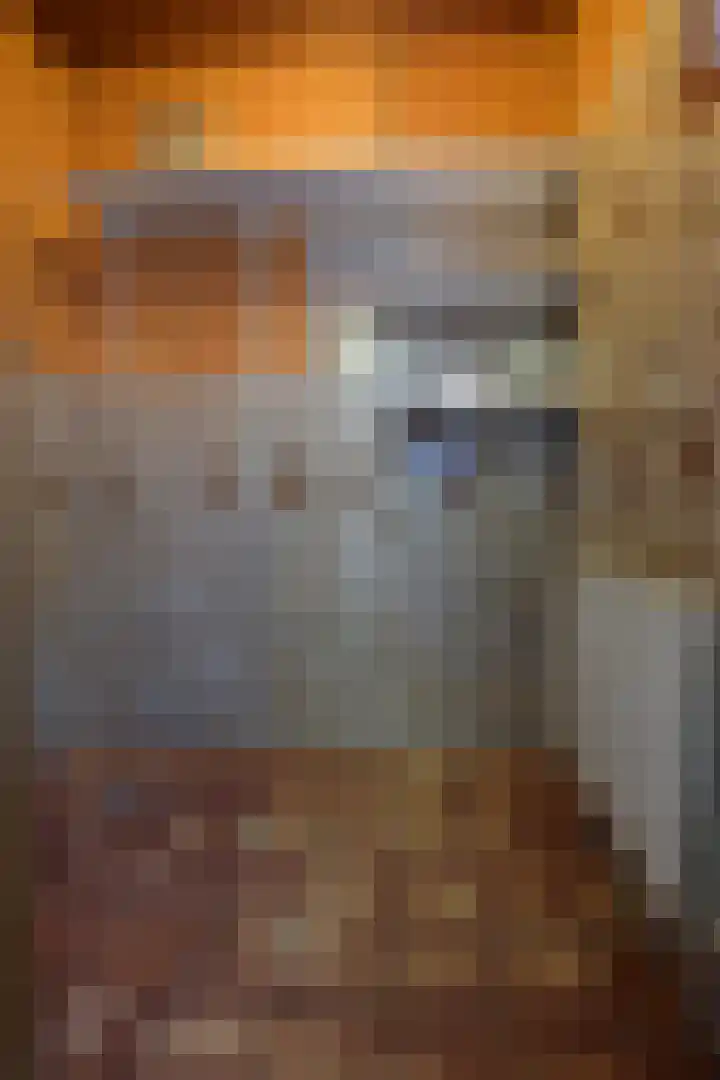 Medanstraat 3 Utrecht thumbnail 9