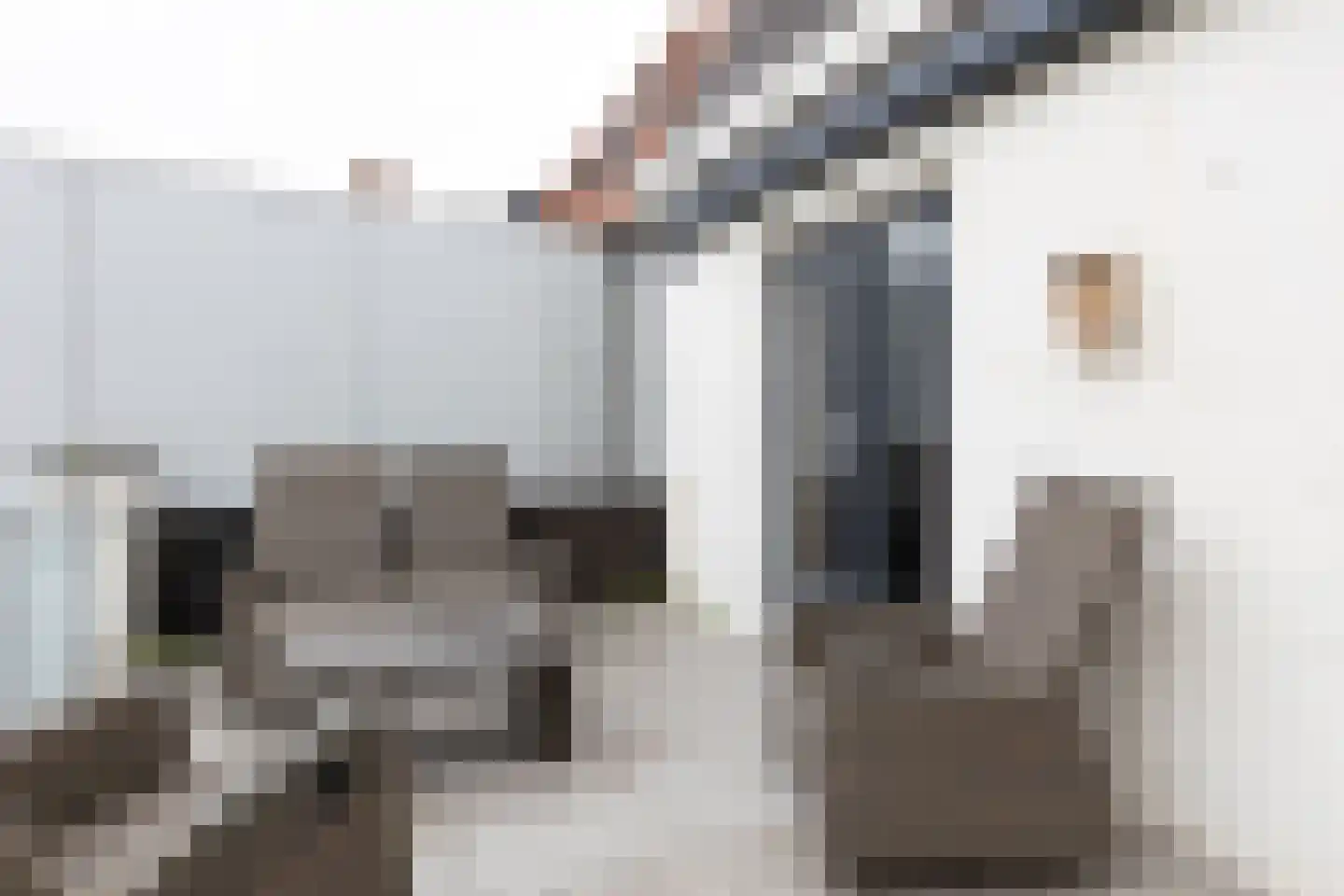 Meddosestraat 47 Winterswijk thumbnail 37