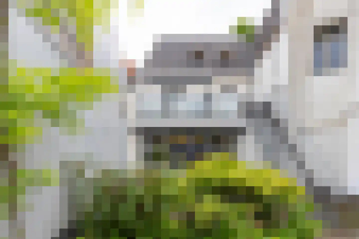 Meddosestraat 47 Winterswijk thumbnail 50