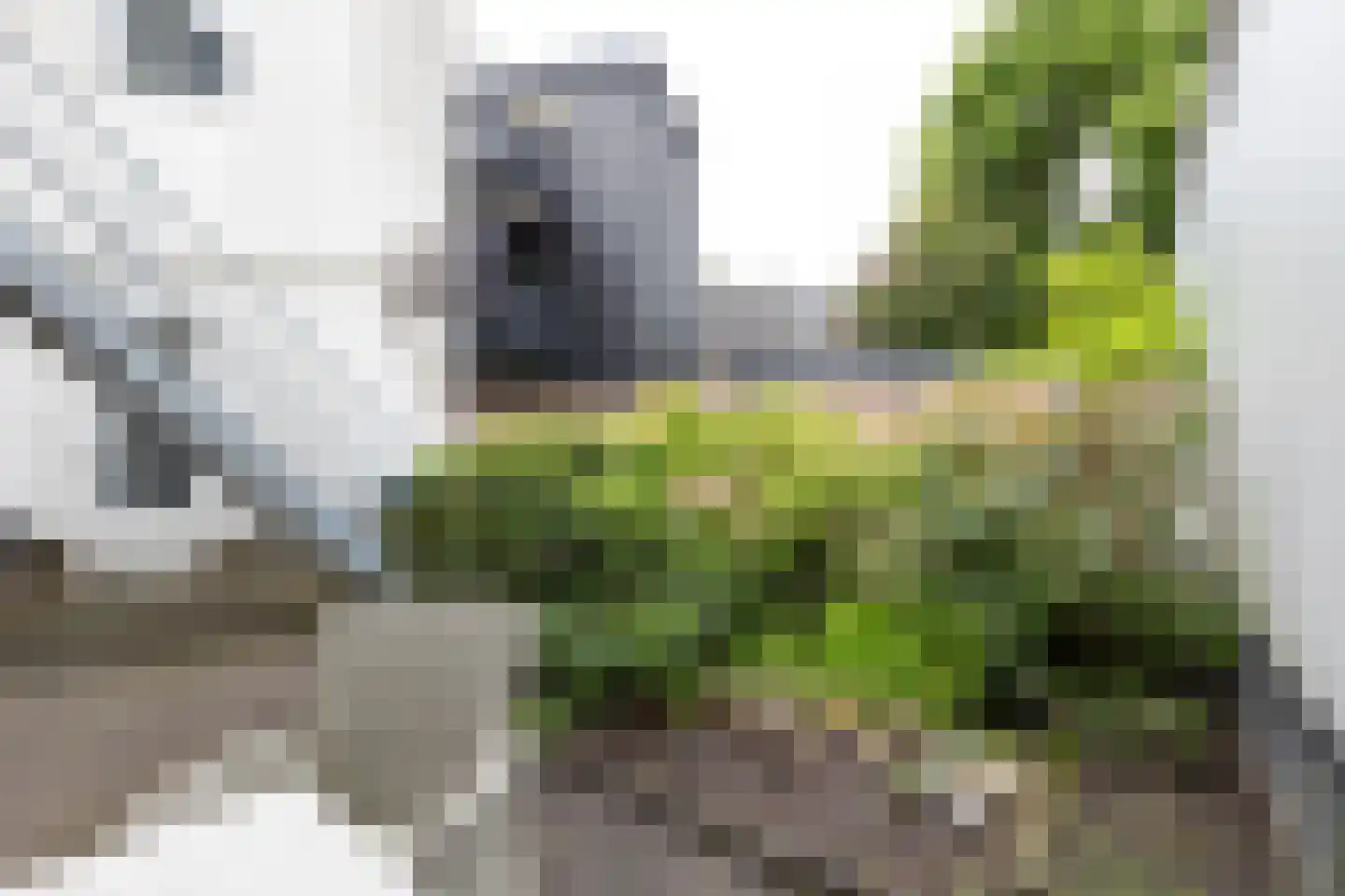 Meddosestraat 47 Winterswijk thumbnail 53