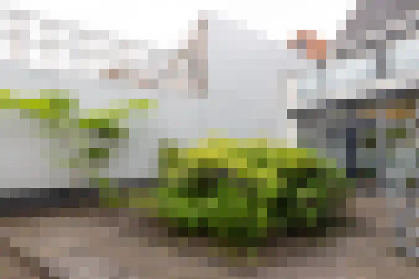 Meddosestraat 47 Winterswijk thumbnail 54