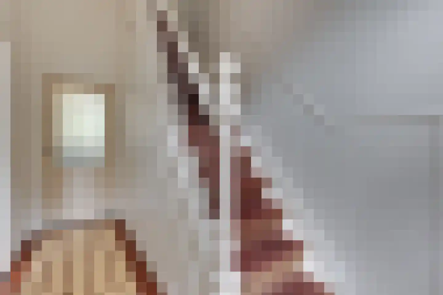 Meddosestraat 47 Winterswijk thumbnail 8