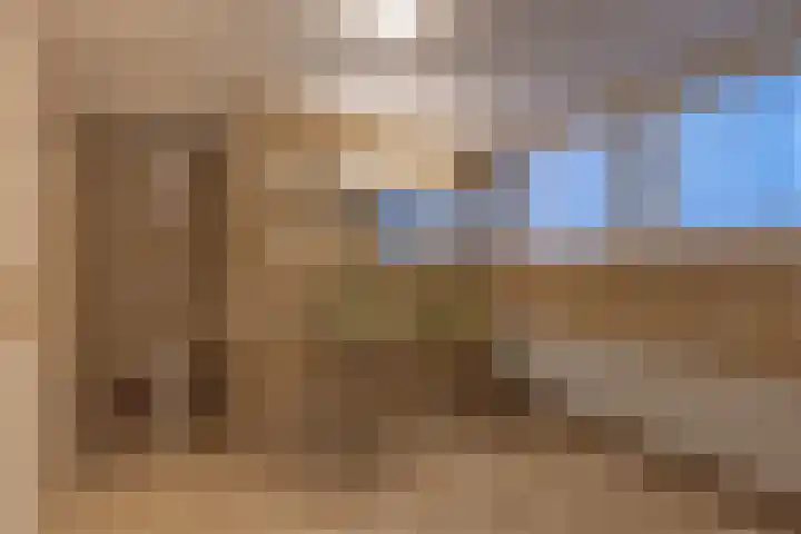 Meddoseweg 1 Groenlo thumbnail 20