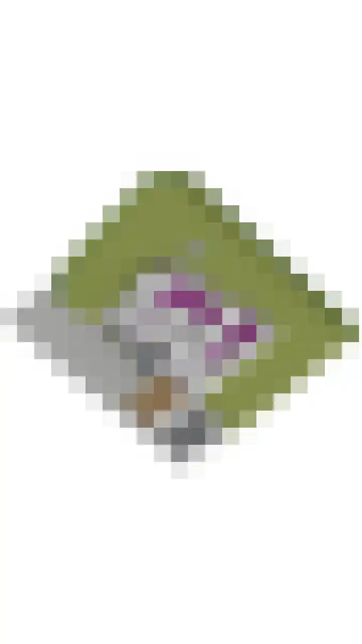 Meddoseweg 1 Groenlo thumbnail 38