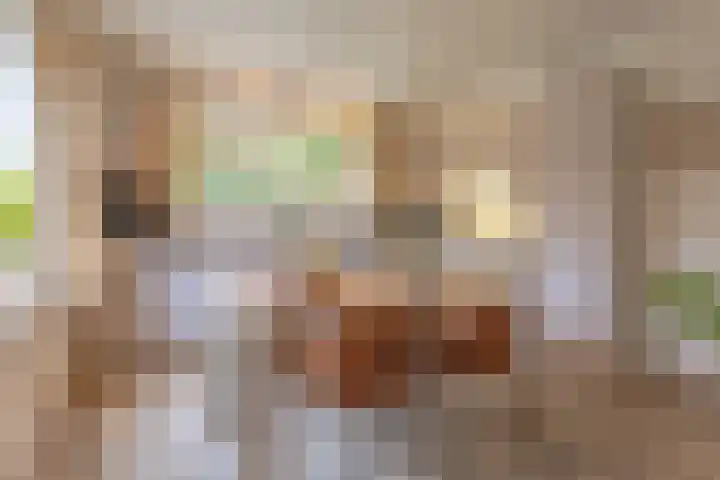 Meddoseweg 1 Groenlo thumbnail 7