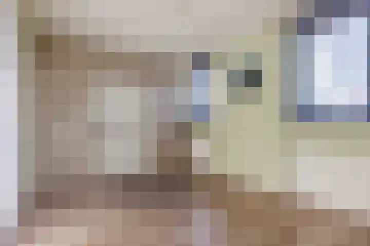Meddostraat 9 Tilburg thumbnail 5