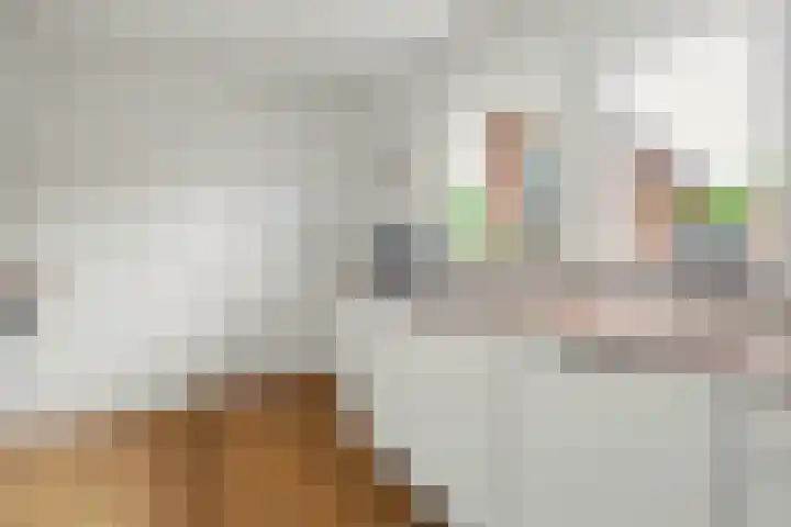 Mede 11 Waalwijk thumbnail 14