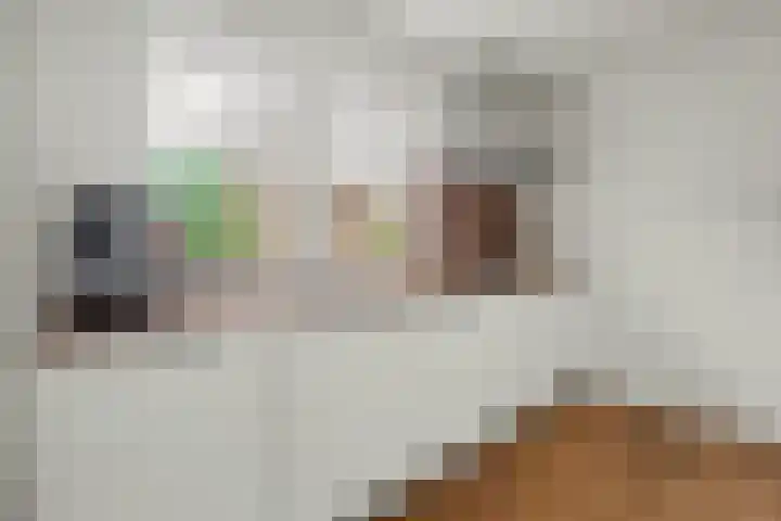 Mede 11 Waalwijk thumbnail 15