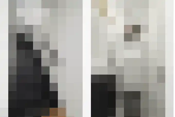 Mede 11 Waalwijk thumbnail 18