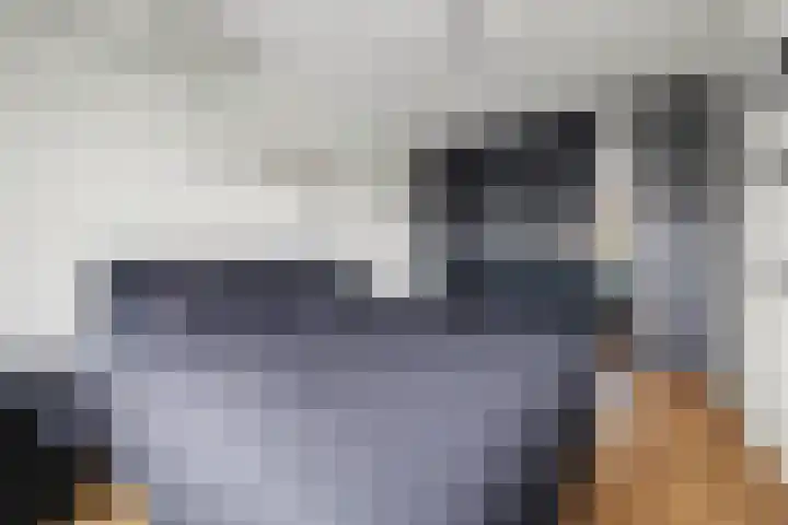 Mede 11 Waalwijk thumbnail 21