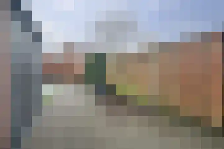 Mede 11 Waalwijk thumbnail 28