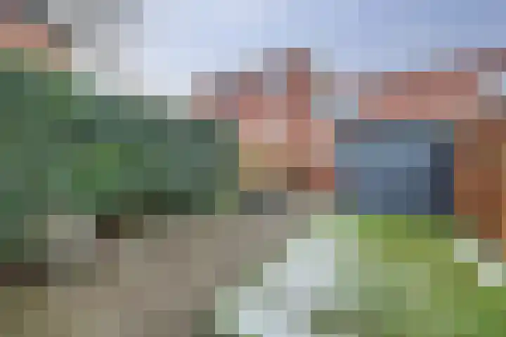 Mede 11 Waalwijk thumbnail 30
