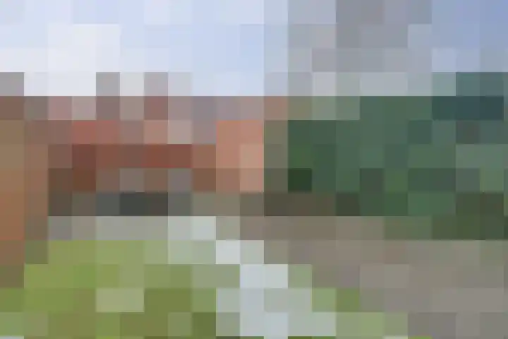 Mede 11 Waalwijk thumbnail 5
