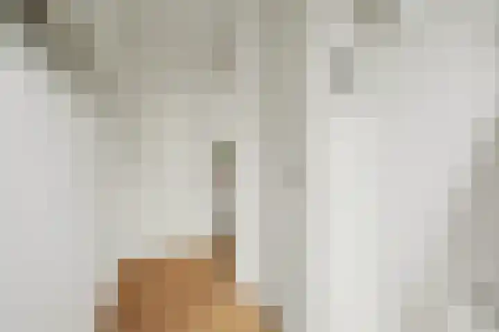 Mede 11 Waalwijk thumbnail 7