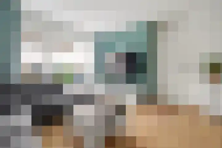 Mede 11 Waalwijk thumbnail 9