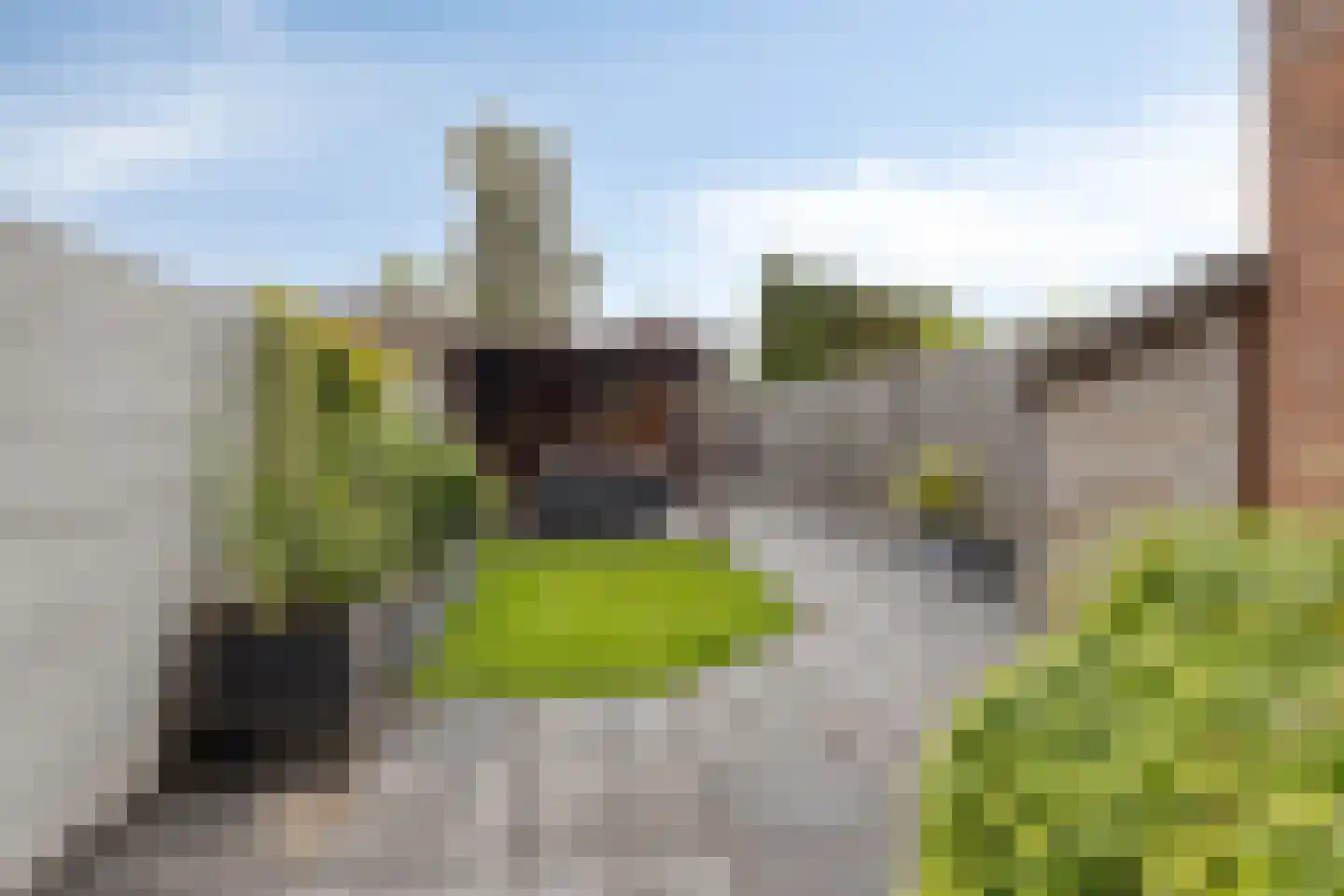 Mede 49 Waalwijk thumbnail 23