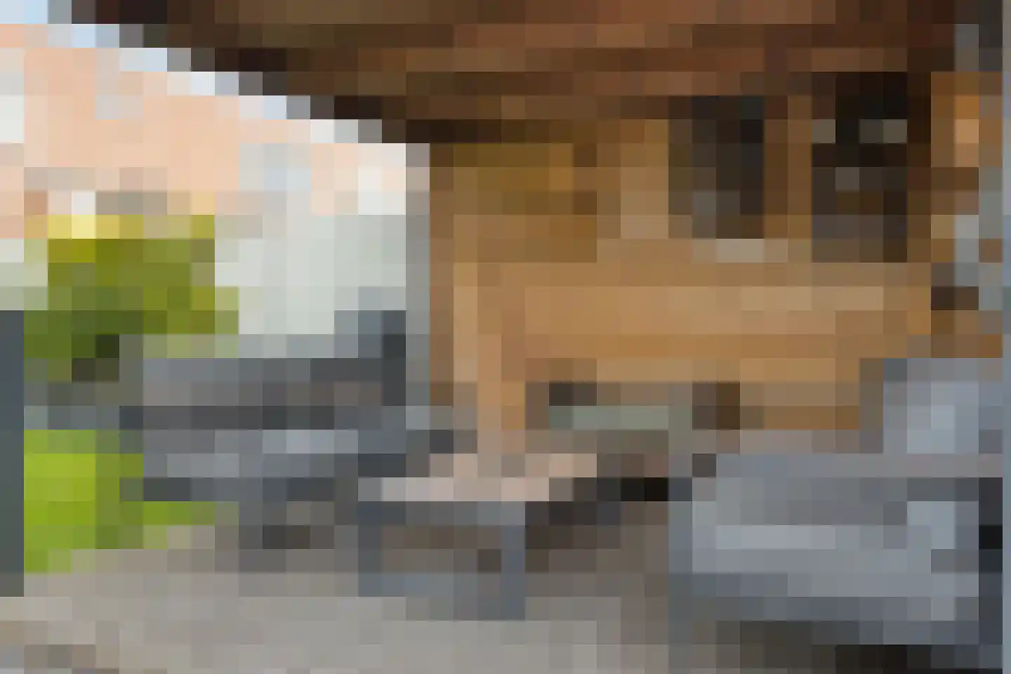 Mede 49 Waalwijk thumbnail 7