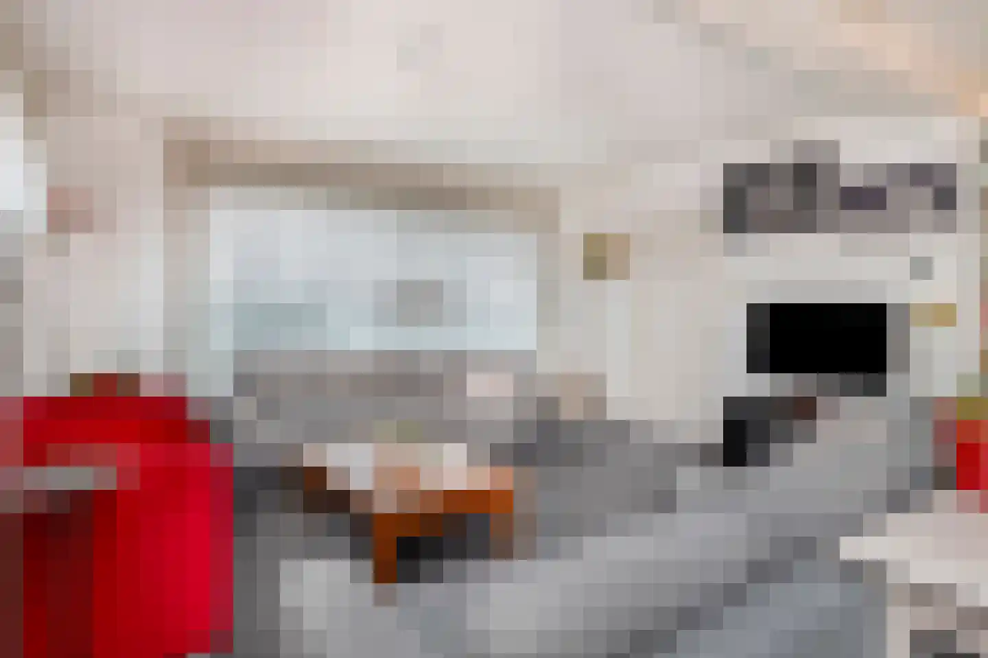 Medealaan 6 Papenhoven thumbnail 12