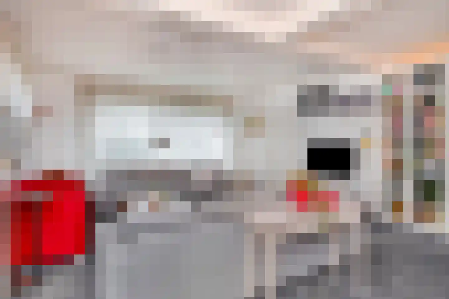 Medealaan 6 Papenhoven thumbnail 14