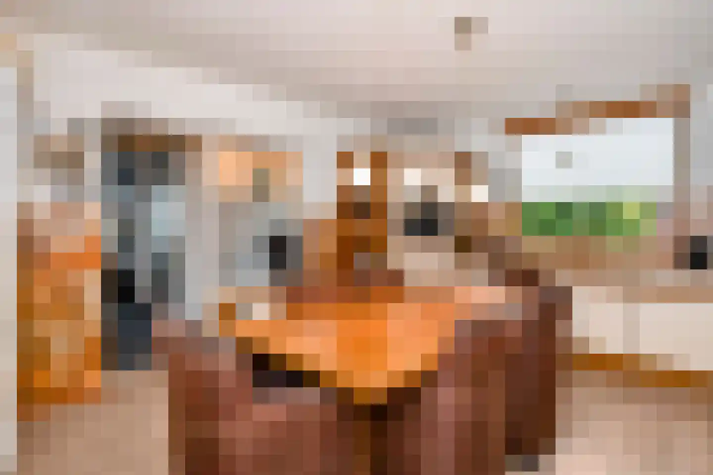 Medealaan 6 Papenhoven thumbnail 18