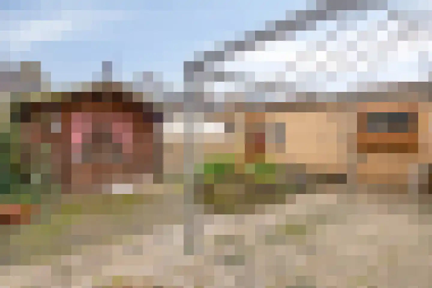 Medealaan 6 Papenhoven thumbnail 36