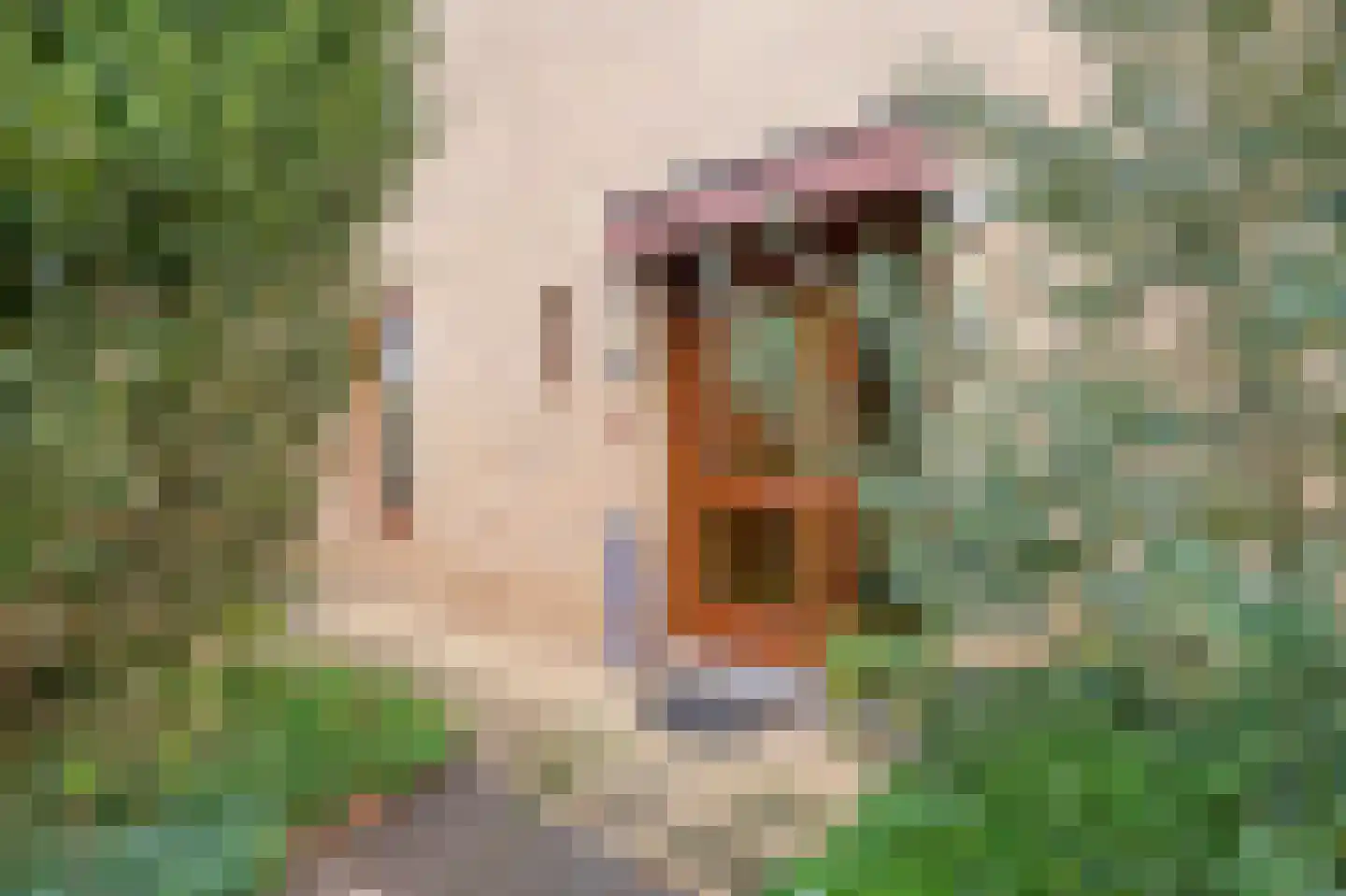 Medealaan 6 Papenhoven thumbnail 4