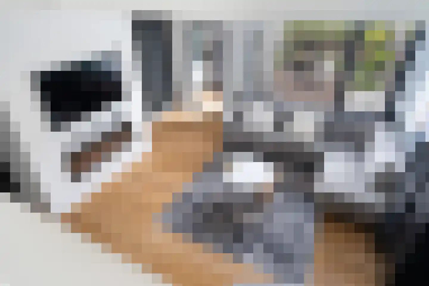 Medeaschouw 54 Zoetermeer thumbnail 13