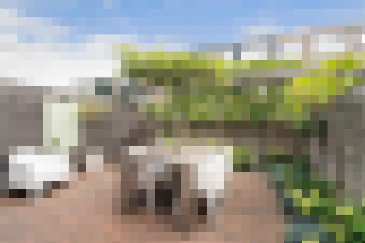 Medeaschouw 54 Zoetermeer thumbnail 15