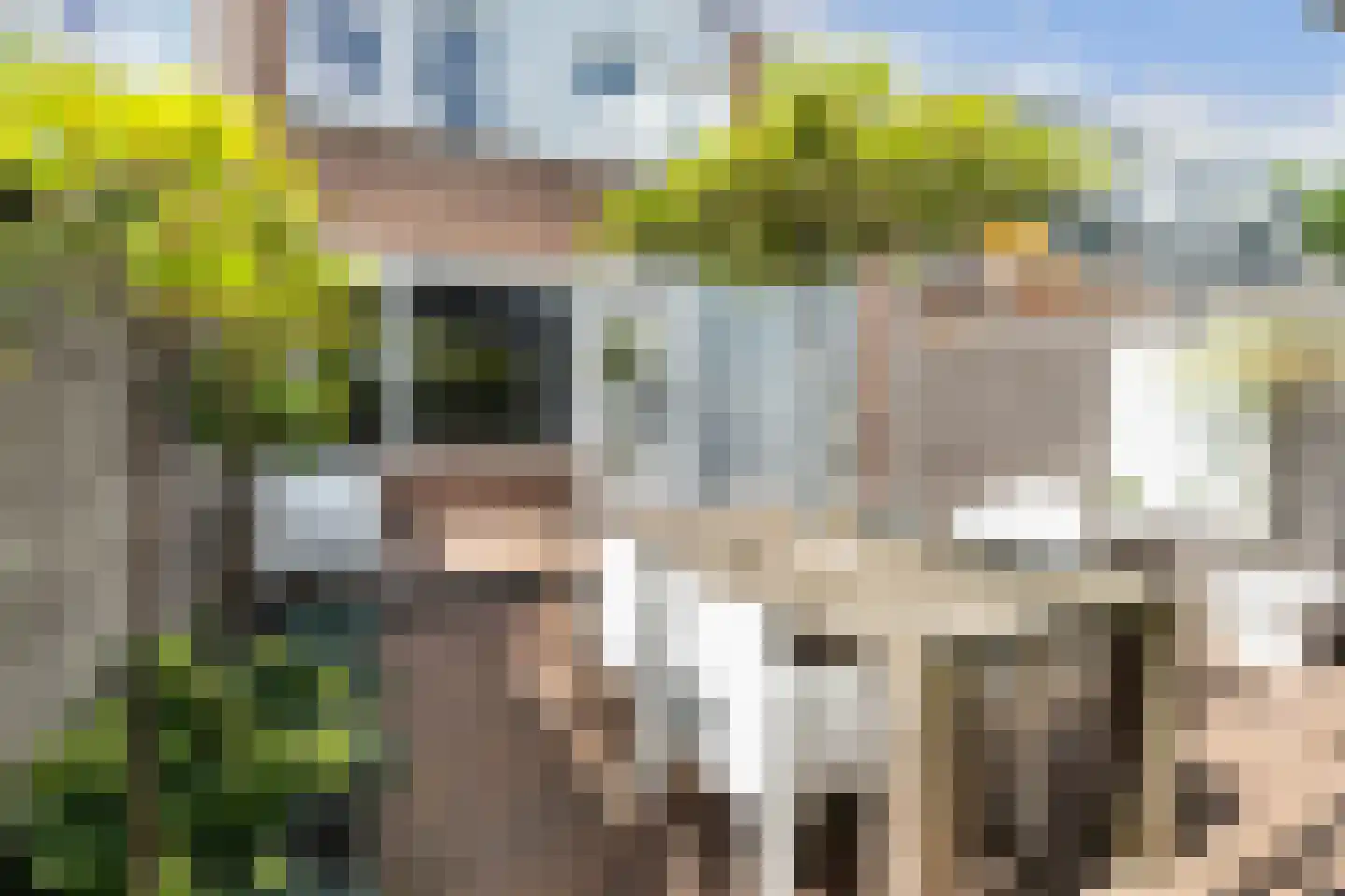 Medeaschouw 54 Zoetermeer thumbnail 17