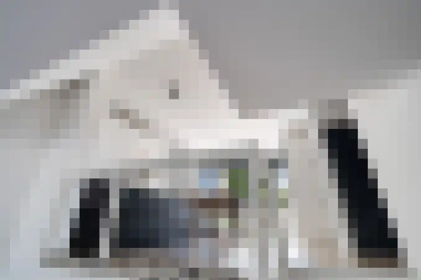 Medeaschouw 54 Zoetermeer thumbnail 19